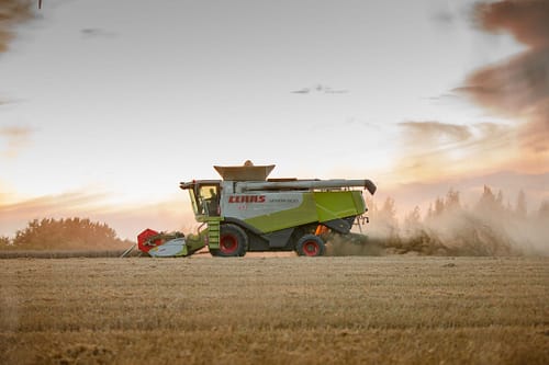 ElsagårdenJuliAug-26