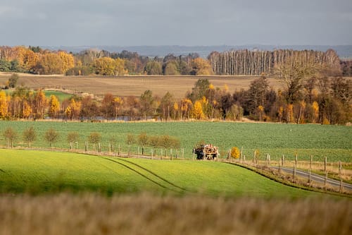 ElsagårdenOkt.Nov-72