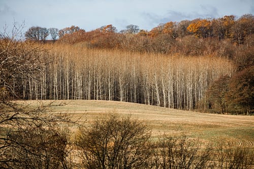 ElsagårdenOkt.Nov-73