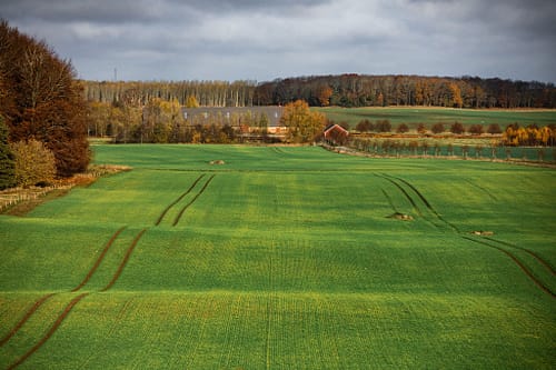 ElsagårdenOkt.Nov-77