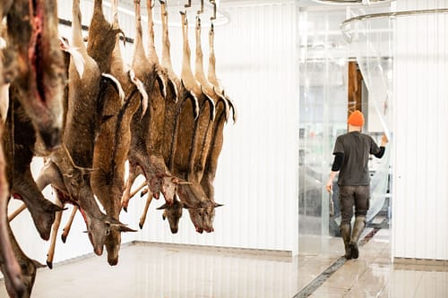 ElsagårdenSlaktboden-23